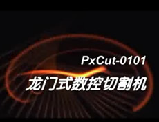 PxCut0101�����и���и���Ƶ
