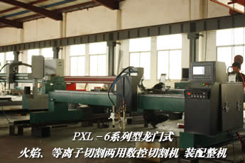 轻型龙门式火焰等离子两用切割机